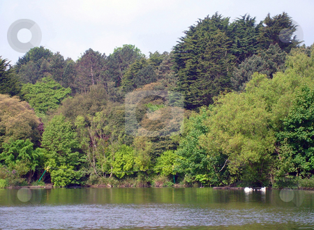To use this stock image in your creative project, please select the size you need over to the right and click the "Add to Cart" button.
Your downloaded image will come with the Cutcaster watermark removed so don’t worry about the watermark you see on this page. Scenery of peaceful lake stock photo, Scenery of peaceful lake, Scarborough, England. by Martin Crowdy