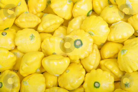 To use this stock image in your creative project, please select the size you need over to the right and click the "Add to Cart" button.
Your downloaded image will come with the Cutcaster watermark removed so don’t worry about the watermark you see on this page. Squash stock photo, Yellow Organic Squash Fill the Frame by Scott Griessel