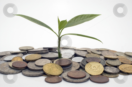 To use this stock image in your creative project, please select the size you need over to the right and click the "Add to Cart" button.
Your downloaded image will come with the Cutcaster watermark removed so don’t worry about the watermark you see on this page. Coins and plant. stock photo, Coins and plant, isolated on white background. by Yury Ponomarev