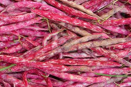 To use this stock image in your creative project, please select the size you need over to the right and click the "Add to Cart" button.
Your downloaded image will come with the Cutcaster watermark removed so don’t worry about the watermark you see on this page. Borlotto Beans stock photo, 'Borlotto Lingua Di Fuoco' ist eine alte italienische Gartenbohne (Phaseolus vulgaris). Traditionell werden die ausgereiften Kerne der Borlotto-Bohne f???r Gem???seeint???pfe verwendet. by Wolfgang Heidasch