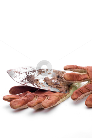 To use this stock image in your creative project, please select the size you need over to the right and click the "Add to Cart" button.
Your downloaded image will come with the Cutcaster watermark removed so don’t worry about the watermark you see on this page. Dirty worn gardening gloves stock photo, Dirty worn gardening gloves with a garden spade by Vince Clements