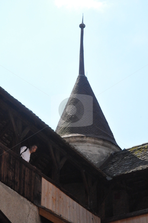 To use this stock image in your creative project, please select the size you need over to the right and click the "Add to Cart" button.
Your downloaded image will come with the Cutcaster watermark removed so don’t worry about the watermark you see on this page. Chillon Castle in Montreux stock photo, Chillon Castle in Montreux, Switzerland by Ritu Jethani
