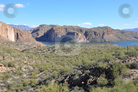 To use this stock image in your creative project, please select the size you need over to the right and click the "Add to Cart" button.
Your downloaded image will come with the Cutcaster watermark removed so don’t worry about the watermark you see on this page. Apache Lake in Arizona stock photo, Apache Lake in Arizona, USA by Ritu Jethani