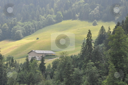To use this stock image in your creative project, please select the size you need over to the right and click the "Add to Cart" button.
Your downloaded image will come with the Cutcaster watermark removed so don’t worry about the watermark you see on this page. Lake in Switzerland stock photo, Lake in Switzerland, Europe by Ritu Jethani