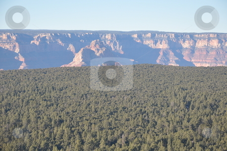 To use this stock image in your creative project, please select the size you need over to the right and click the "Add to Cart" button.
Your downloaded image will come with the Cutcaster watermark removed so don’t worry about the watermark you see on this page. Grand Canyon in Arizona stock photo, Grand Canyon in Arizona, USA by Ritu Jethani