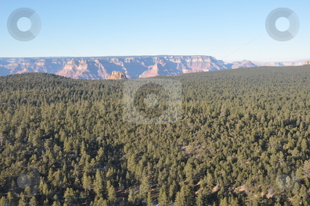 To use this stock image in your creative project, please select the size you need over to the right and click the "Add to Cart" button.
Your downloaded image will come with the Cutcaster watermark removed so don’t worry about the watermark you see on this page. Grand Canyon in Arizona stock photo, Grand Canyon in Arizona, USA by Ritu Jethani
