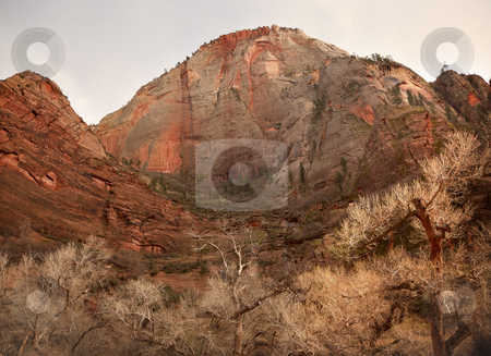 To use this stock image in your creative project, please select the size you need over to the right and click the "Add to Cart" button.
Your downloaded image will come with the Cutcaster watermark removed so don’t worry about the watermark you see on this page. Red Rock Canyon Zion National Park Utah stock photo, Red Rock Zion National Park Utah Southwest by William Perry
