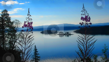 To use this stock image in your creative project, please select the size you need over to the right and click the "Add to Cart" button.
Your downloaded image will come with the Cutcaster watermark removed so don’t worry about the watermark you see on this page. Magic Sunrise stock photo, beautiful sunrise - norway europe travel by Stelian Ion