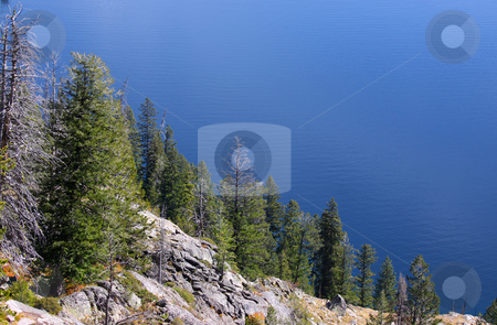 To use this stock image in your creative project, please select the size you need over to the right and click the "Add to Cart" button.
Your downloaded image will come with the Cutcaster watermark removed so don’t worry about the watermark you see on this page. Pine trees on a hill stock photo, Pine trees on a hill by Jackson lake in Wyoming by Sreedhar Yedlapati