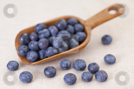 To use this stock image in your creative project, please select the size you need over to the right and click the "Add to Cart" button.
Your downloaded image will come with the Cutcaster watermark removed so don’t worry about the watermark you see on this page. Scoop of blueberries stock photo, blueberries on a rustic wooden scoop against tablecloth, shallow depth of field by Marek Uliasz