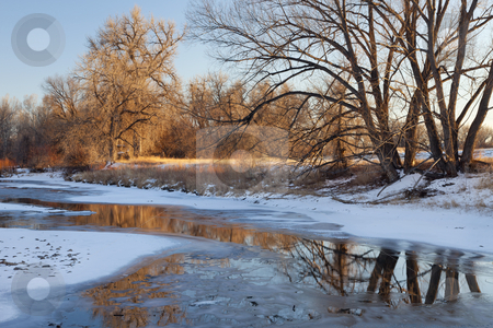To use this stock image in your creative project, please select the size you need over to the right and click the "Add to Cart" button.
Your downloaded image will come with the Cutcaster watermark removed so don’t worry about the watermark you see on this page. Winter river stock photo, partially frozen Cache la Poudre River with cottonwood trees at Fort Collins, Colorado by Marek Uliasz
