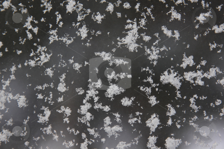 To use this stock image in your creative project, please select the size you need over to the right and click the "Add to Cart" button.
Your downloaded image will come with the Cutcaster watermark removed so don’t worry about the watermark you see on this page. Snow Flake Texture stock photo, Fresh snowflakes on a window, makes a nice winter background. by Chris Hill