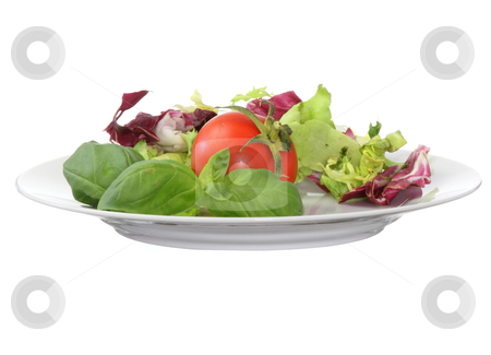 To use this stock image in your creative project, please select the size you need over to the right and click the "Add to Cart" button.
Your downloaded image will come with the Cutcaster watermark removed so don’t worry about the watermark you see on this page. Vegetarian food (salad tomato basil) stock photo, Plate with salad tomato and brasil by Piotr_Marcinski