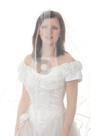 To use this stock image in your creative project, please select the size you need over to the right and click the "Add to Cart" button.
Your downloaded image will come with the Cutcaster watermark removed so don’t worry about the watermark you see on this page. Caucasian bride in long dress stock photo, Caucasian bride in long dress isolated on white background
by Piotr_Marcinski