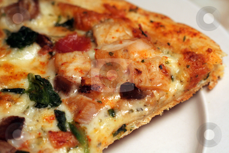 To use this stock image in your creative project, please select the size you need over to the right and click the "Add to Cart" button.
Your downloaded image will come with the Cutcaster watermark removed so don’t worry about the watermark you see on this page. Closeup a Mediterranen Pizza stock photo, A close up of a slice of Mediterrainian pizza sitting on a plate.
by Chris Hill