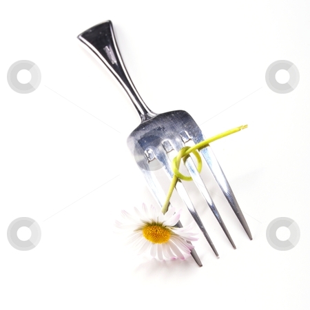 To use this stock image in your creative project, please select the size you need over to the right and click the "Add to Cart" button.
Your downloaded image will come with the Cutcaster watermark removed so don’t worry about the watermark you see on this page. Flower and fork stock photo, flower and fork isolated on a white background with copyspace showing food concept by Gunnar Pippel