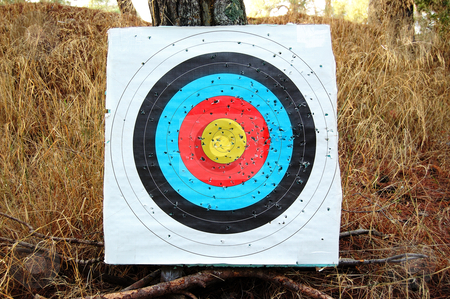 To use this stock image in your creative project, please select the size you need over to the right and click the "Add to Cart" button.
Your downloaded image will come with the Cutcaster watermark removed so don’t worry about the watermark you see on this page. Colorful shooting target stock photo, Colorful shooting target on a tree. Abstract sports background. by sirylok