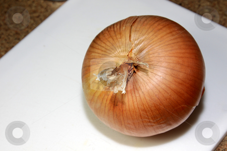 To use this stock image in your creative project, please select the size you need over to the right and click the "Add to Cart" button.
Your downloaded image will come with the Cutcaster watermark removed so don’t worry about the watermark you see on this page. Large Yellow Onion stock photo, A close-up of a large yellow onion sitting on a cutting board.
by Chris Hill