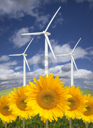 To use this stock image in your creative project, please select the size you need over to the right and click the "Add to Cart" button.
Your downloaded image will come with the Cutcaster watermark removed so don’t worry about the watermark you see on this page. Wind Turbines Against Dramatic Sky with Bright Sunflowers stock photo, Wind Turbines Against Dramatic Sky, Clouds and Bright Sunflowers in the Foreground.
by Andy Dean