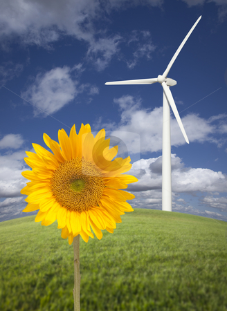 To use this stock image in your creative project, please select the size you need over to the right and click the "Add to Cart" button.
Your downloaded image will come with the Cutcaster watermark removed so don’t worry about the watermark you see on this page. Wind Turbine Against Dramatic Sky with Bright Sunflower stock photo, Wind Turbine Against Dramatic Sky, Clouds and Bright Sunflower in the Foreground.
by Andy Dean