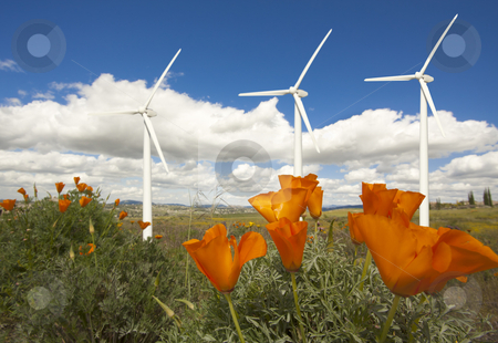 To use this stock image in your creative project, please select the size you need over to the right and click the "Add to Cart" button.
Your downloaded image will come with the Cutcaster watermark removed so don’t worry about the watermark you see on this page. Wind Turbines Against Dramatic Sky and California Poppies stock photo, Wind Turbines Against Dramatic Sky, Clouds and California Poppies in the Foreground.
by Andy Dean