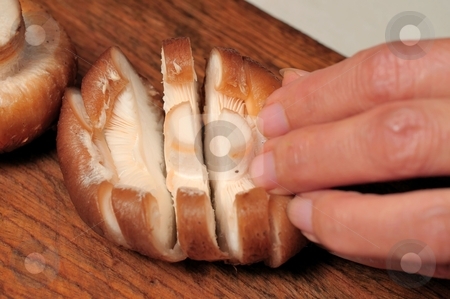 To use this stock image in your creative project, please select the size you need over to the right and click the "Add to Cart" button.
Your downloaded image will come with the Cutcaster watermark removed so don’t worry about the watermark you see on this page. Cutting fresh mushroom stock photo, Cutting fresh and juicy shitake mushrooms on cutting board. by Wai Chung Tang