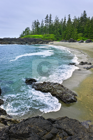 To use this stock image in your creative project, please select the size you need over to the right and click the "Add to Cart" button.
Your downloaded image will come with the Cutcaster watermark removed so don’t worry about the watermark you see on this page. Coast of Pacific ocean in Canada stock photo, Rocky shore of Pacific Rim National park, Canada by Elena Elisseeva
