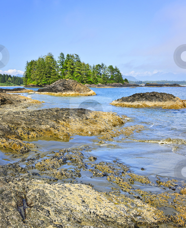 To use this stock image in your creative project, please select the size you need over to the right and click the "Add to Cart" button.
Your downloaded image will come with the Cutcaster watermark removed so don’t worry about the watermark you see on this page. Coast of Pacific ocean, Vancouver Island, Canada stock photo, Rocky ocean shore in Pacific Rim National park, Canada by Elena Elisseeva