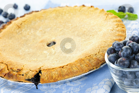 To use this stock image in your creative project, please select the size you need over to the right and click the "Add to Cart" button.
Your downloaded image will come with the Cutcaster watermark removed so don’t worry about the watermark you see on this page. Blueberry pie stock photo, Whole baked blueberry pie with fresh blueberries by Elena Elisseeva