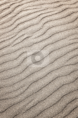 To use this stock image in your creative project, please select the size you need over to the right and click the "Add to Cart" button.
Your downloaded image will come with the Cutcaster watermark removed so don’t worry about the watermark you see on this page. Sand ripples background stock photo, Natural background of sand in ripple wave pattern by Elena Elisseeva