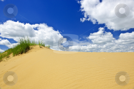 To use this stock image in your creative project, please select the size you need over to the right and click the "Add to Cart" button.
Your downloaded image will come with the Cutcaster watermark removed so don’t worry about the watermark you see on this page. Desert landscape in Manitoba, Canada stock photo, Landscape of Spirit Sands dunes in Spruce Woods Provincial Park, Manitoba, Canada by Elena Elisseeva
