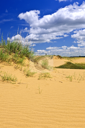 To use this stock image in your creative project, please select the size you need over to the right and click the "Add to Cart" button.
Your downloaded image will come with the Cutcaster watermark removed so don’t worry about the watermark you see on this page. Desert landscape in Manitoba, Canada stock photo, Landscape of Spirit Sands dunes in Spruce Woods Provincial Park, Manitoba, Canada by Elena Elisseeva