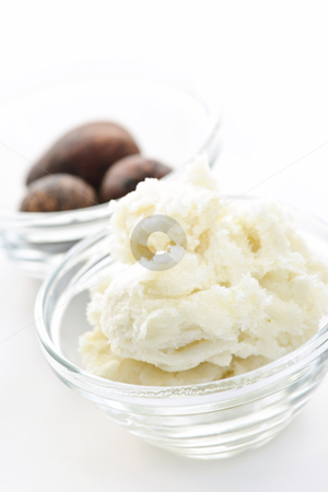 To use this stock image in your creative project, please select the size you need over to the right and click the "Add to Cart" button.
Your downloaded image will come with the Cutcaster watermark removed so don’t worry about the watermark you see on this page. Shea butter and nuts in bowls stock photo, Shea butter and nuts in glass bowls isolated on white by Elena Elisseeva