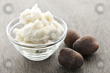 To use this stock image in your creative project, please select the size you need over to the right and click the "Add to Cart" button.
Your downloaded image will come with the Cutcaster watermark removed so don’t worry about the watermark you see on this page. Shea butter and nuts in bowl stock photo, Shea nuts and sheabutter in glass bowl by Elena Elisseeva