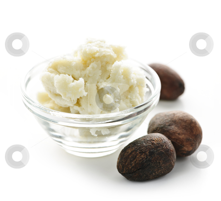 To use this stock image in your creative project, please select the size you need over to the right and click the "Add to Cart" button.
Your downloaded image will come with the Cutcaster watermark removed so don’t worry about the watermark you see on this page. Shea butter and nuts in bowl stock photo, Shea nuts and sheabutter in glass bowl isolated on white by Elena Elisseeva