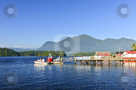 To use this stock image in your creative project, please select the size you need over to the right and click the "Add to Cart" button.
Your downloaded image will come with the Cutcaster watermark removed so don’t worry about the watermark you see on this page. Boats at dock in Tofino, Vancouver Island, Canada stock photo, Boats at dock in Tofino on Pacific coast of British Columbia, Canada by Elena Elisseeva