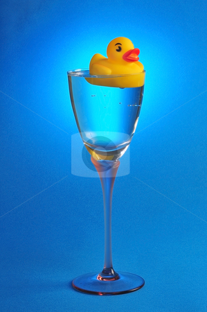 To use this stock image in your creative project, please select the size you need over to the right and click the "Add to Cart" button.
Your downloaded image will come with the Cutcaster watermark removed so don’t worry about the watermark you see on this page. Rubber Ducky stock photo, Rubber ducky floating in glass of water. by WScott