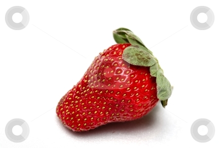 To use this stock image in your creative project, please select the size you need over to the right and click the "Add to Cart" button.
Your downloaded image will come with the Cutcaster watermark removed so don’t worry about the watermark you see on this page. Strawberry stock photo, A single red strawberry on a white background by Karma Shuford
