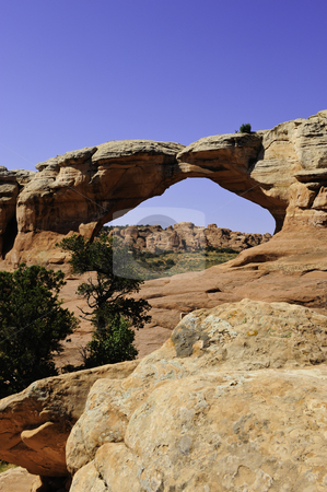 To use this stock image in your creative project, please select the size you need over to the right and click the "Add to Cart" button.
Your downloaded image will come with the Cutcaster watermark removed so don’t worry about the watermark you see on this page. Arches National Park stock photo, Tapestry Arch in Arches National Park, Utah by Don Fink