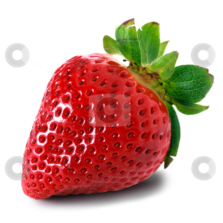 To use this stock image in your creative project, please select the size you need over to the right and click the "Add to Cart" button.
Your downloaded image will come with the Cutcaster watermark removed so don’t worry about the watermark you see on this page. Red strawberry stock photo, red strawberry over white background by Mariusz Blach