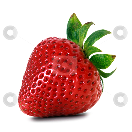 To use this stock image in your creative project, please select the size you need over to the right and click the "Add to Cart" button.
Your downloaded image will come with the Cutcaster watermark removed so don’t worry about the watermark you see on this page. Red strawberry stock photo, red strawberry over white background by Mariusz Blach