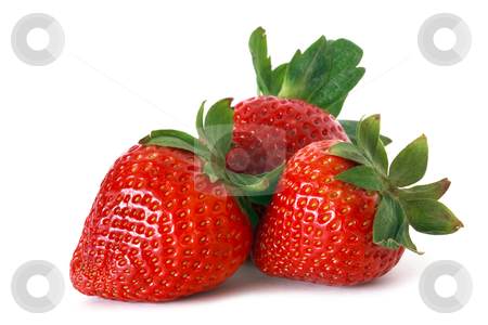 To use this stock image in your creative project, please select the size you need over to the right and click the "Add to Cart" button.
Your downloaded image will come with the Cutcaster watermark removed so don’t worry about the watermark you see on this page. Red strawberry stock photo, red strawberry over white background by Mariusz Blach