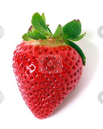 To use this stock image in your creative project, please select the size you need over to the right and click the "Add to Cart" button.
Your downloaded image will come with the Cutcaster watermark removed so don’t worry about the watermark you see on this page. Red strawberry stock photo, red strawberry over white background by Mariusz Blach
