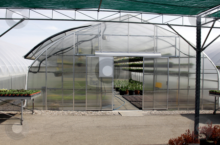 To use this stock image in your creative project, please select the size you need over to the right and click the "Add to Cart" button.
Your downloaded image will come with the Cutcaster watermark removed so don’t worry about the watermark you see on this page. Greenhouse at a Nursery stock photo, A large greenhouse at garden nursery.
by Chris Hill