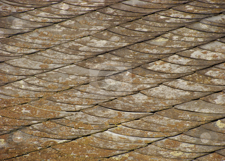 To use this stock image in your creative project, please select the size you need over to the right and click the "Add to Cart" button.
Your downloaded image will come with the Cutcaster watermark removed so don’t worry about the watermark you see on this page. Large side shot of house showing scales attached to a wall with spurs and wear stock photo, roof of house showing shales scales with spurs and wear by johnjohnson