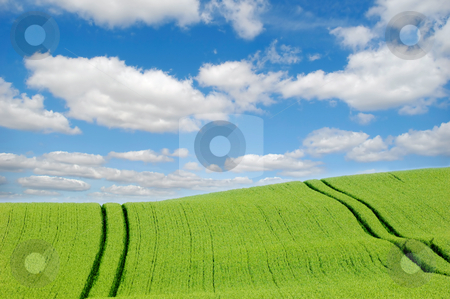 To use this stock image in your creative project, please select the size you need over to the right and click the "Add to Cart" button.
Your downloaded image will come with the Cutcaster watermark removed so don’t worry about the watermark you see on this page. Green hill and clouds stock photo, Green hill and clouds by Lars Christensen
