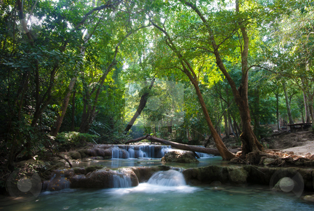 To use this stock image in your creative project, please select the size you need over to the right and click the "Add to Cart" button.
Your downloaded image will come with the Cutcaster watermark removed so don’t worry about the watermark you see on this page. Beautiful waterfall cascades stock photo, beautiful waterfall cascades in erawan kanachanburi thailand by Phil Morley