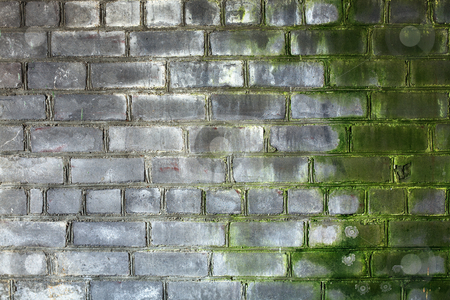 To use this stock image in your creative project, please select the size you need over to the right and click the "Add to Cart" button.
Your downloaded image will come with the Cutcaster watermark removed so don’t worry about the watermark you see on this page. Brick gray old weathered wall stock photo, Surface of old, dirty, weathered, brick wall by Alexey Romanov