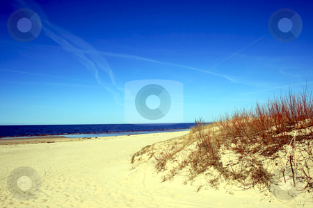 To use this stock image in your creative project, please select the size you need over to the right and click the "Add to Cart" button.
Your downloaded image will come with the Cutcaster watermark removed so don’t worry about the watermark you see on this page. Baltic sea wild beach stock photo, Baltic sea wild beach early spring by Tatjana Keisa