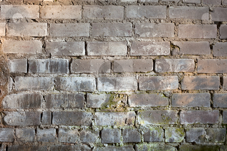 To use this stock image in your creative project, please select the size you need over to the right and click the "Add to Cart" button.
Your downloaded image will come with the Cutcaster watermark removed so don’t worry about the watermark you see on this page. Background with old grunge brick wall stock photo, Abstract background with old grunge brick wall by Alexey Romanov